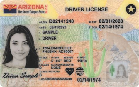 azmvdnow|Renew Your License .